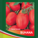 Tomato Suhana