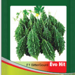 Bitter Gourd- Evo Hit