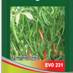 Chilli- Evo 231