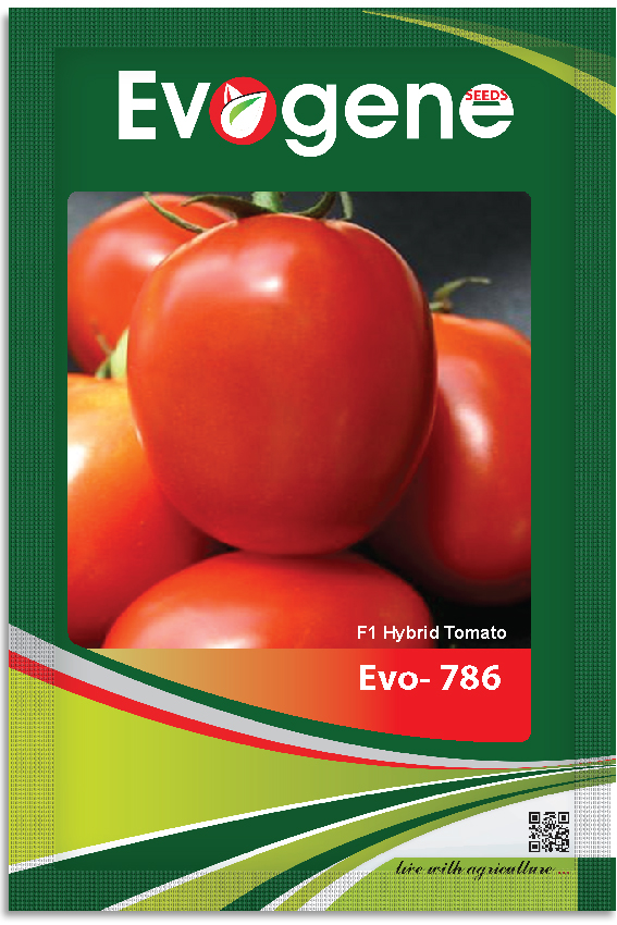 Tomato-	Evo 768