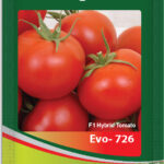 Tomato- Evo 726